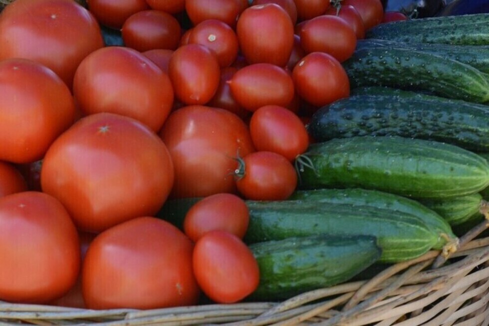 Цена на огурцы пошла вверх, помидоры подешевели: актуальные данные о продуктах в регионе