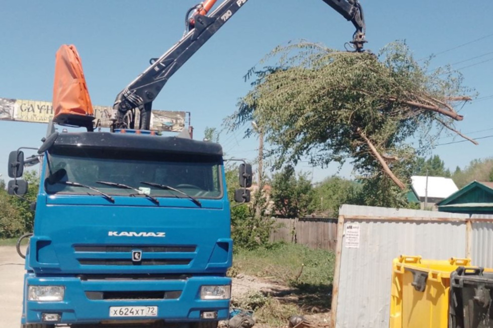 Саратовский регоператор в июне вывез почти 20 тысяч кубометров древесно-растительных отходов