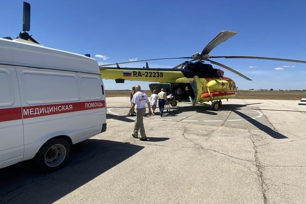 В Саратовской области медики на вертолете прилетели за сельчанином, пострадавшим от укуса ядовитого паука