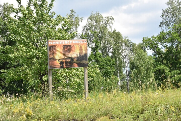 Жителям Саратовской области вновь запретили посещать леса