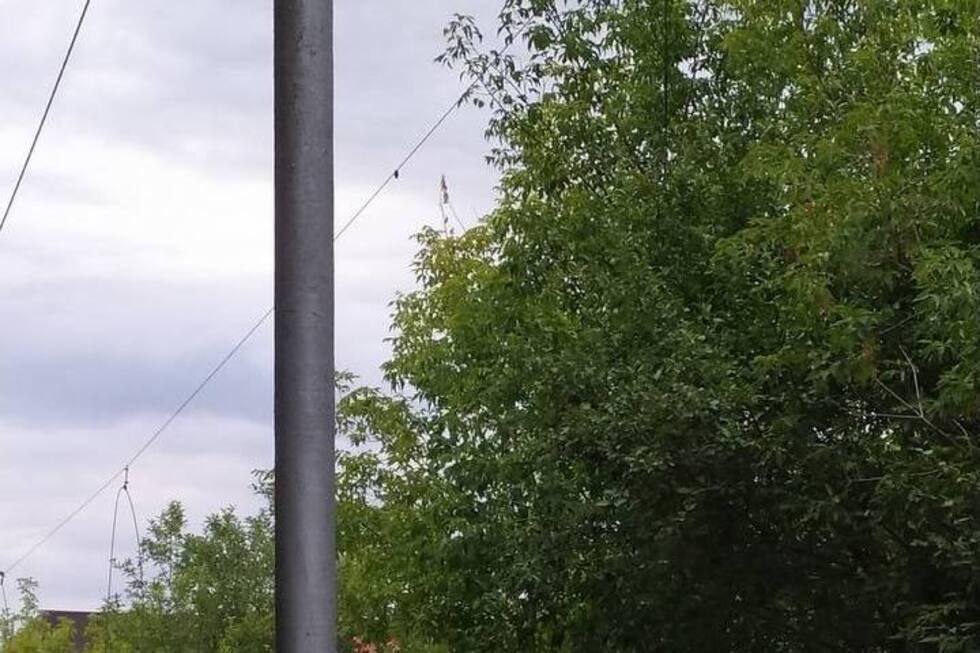 Жители Саратова бьют тревогу из-за демонтажа проводов на закрытом трамвайном маршруте