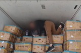 Четырех нелегалов пытались ввезти в Россию через Саратовскую область, спрятав в дынях (видео)