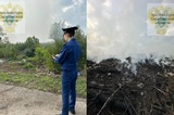 В Ртищевском районе произошло самовозгорание свалки