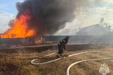 В Энгельсском районе крупный пожар перешёл на окраину села (видео)