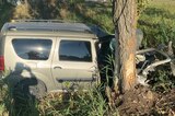 В Балашове девушка за рулем «Лады» протаранила дерево: двое пострадали
