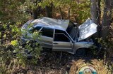 Молодой человек на ВАЗ врезался в дерево и отправился в больницу