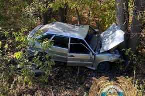 Молодой человек на ВАЗ врезался в дерево и отправился в больницу