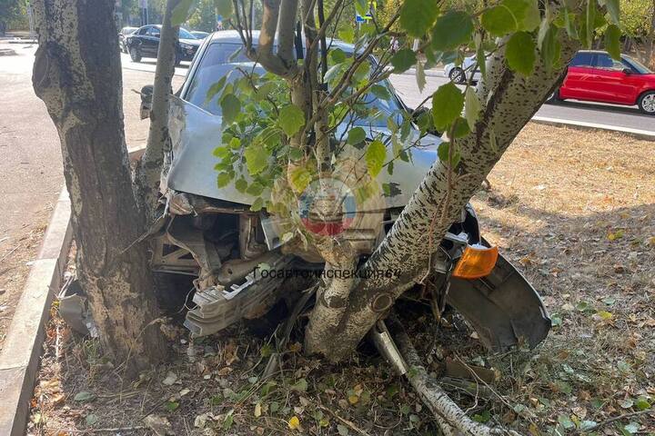 В Саратове «двенадцатая» въехала в дерево: водителя госпитализировали