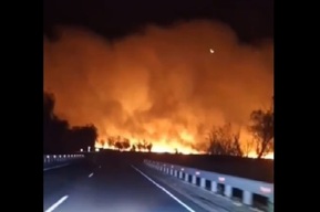 Под Балашовом второй день полыхает лес: комментарий МЧС