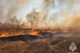 Пожары в Саратовской области. В одном из районов трава загорелась из-за заискрившего трансформатора