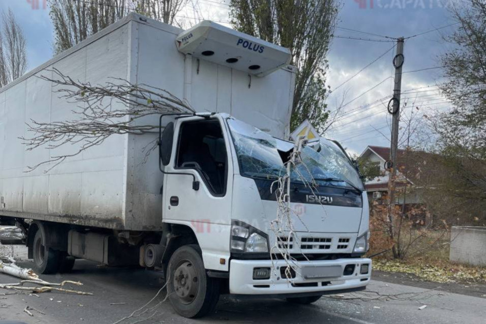 На Саратов обрушились дождь и сильный ветер: повалило деревья