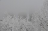 Мокрый снег и туман: в Саратовской области ожидается неблагоприятная погода