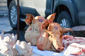 Саратовцев ждут на Театральной площади за рыбой, мясом и яйцами