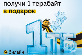 1 терабайт для всех: билайн дарит возможность забыть о трафике на целый год