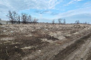 На плодородных полях в Энгельсском районе устроили свалки