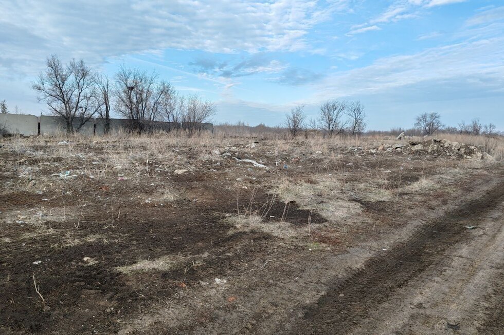 На плодородных полях в Энгельсском районе устроили свалки