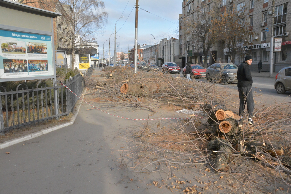 Дровосеки завалили тротуар и дорогу на улице Чапаева: образовалась пробка