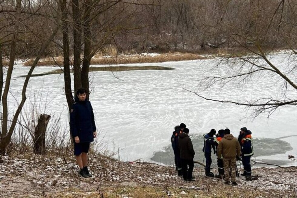 Оставшиеся без воды жители Балашова умоляют Володина помочь с запуском водозабора