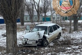 В Новоузенске «четырнадцатая» въехала в дерево, погибла пассажирка