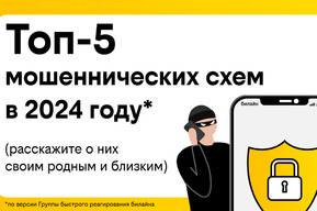 Билайн рассказал о самых популярных мошеннических схемах в 2024 году