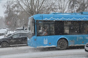 Опиловка деревьев и ДТП: в Саратове не ходят троллейбусы