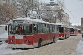 Из-за опиловки деревьев в Саратове несколько часов не будут ходить троллейбусы