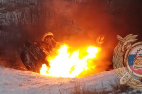 В Саратовской области иномарка съехала в кювет и загорелась: водитель погиб