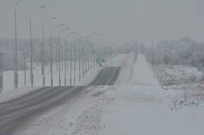 Синоптики обещают саратовцам морозный и туманный день