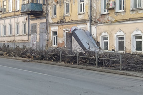 «Последние прикончили»: в центре Саратова продолжается вырубка деревьев