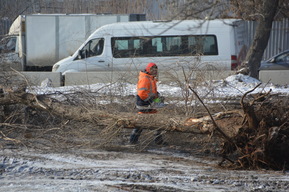 На въезде в Саратов начали сносить деревья до заседания «зеленой комиссии»