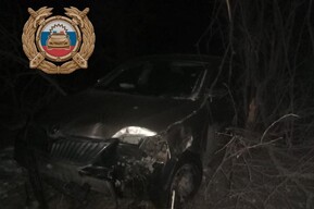 В Ершовском районе Skoda слетела с дороги и врезалась в дерево: пострадали ребенок и женщина