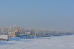 В Саратовской области ожидается морозная и бесснежная погода