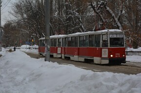 Закрытие «тройки». Названа точная дата запуска двух «десятирублевых» автобусных маршрутов