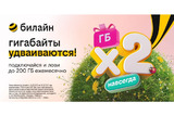 Бесконечное удвоение гигабайтов: билайн запустил акцию для организации интернета в загородном доме