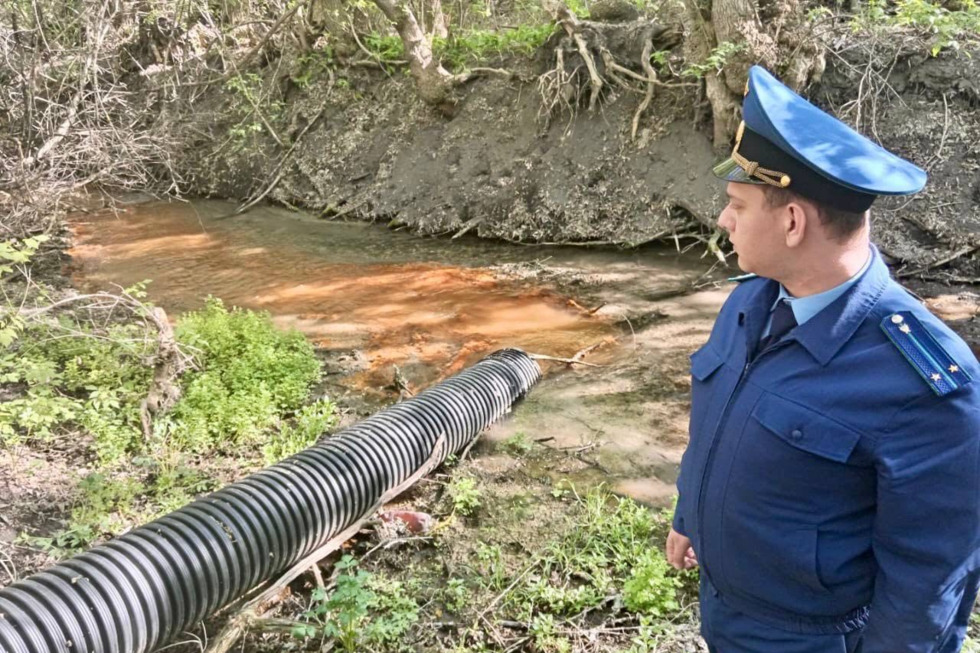 В Вольске оказалась загрязнена река: надзорный орган выясняет, почему это произошло