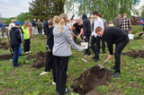 В селе Вольского района высадили «Сад Победы»