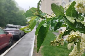 В МЧС рассказали, какая погода ожидает жителей области на День Победы