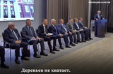 Володин заявил о нехватке деревьев в Саратове
