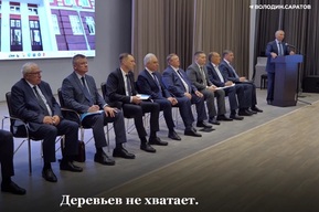 Володин заявил о нехватке деревьев в Саратове