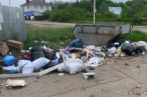 Саратовцы обсуждают в соцсетях превращение природного парка в свалку (фото)