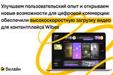 CDNVideo обеспечила высокоскоростную загрузку видео в контентплейсе Wibes