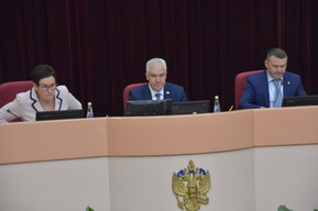 Приоритет озеленения и полномочия в сфере туризма: саратовские депутаты приняли новые законы