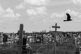 Родовые захоронения. Сотрудники энгельсской администрации и «Ритуала» стали фигурантами уголовного дела