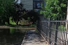 «Тут болото»: в Энгельсе грязная вода затапливает школу