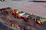 Восемь жителей региона погибли в ходе СВО 