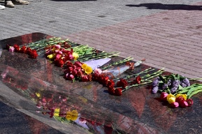 Восемь жителей региона погибли в ходе СВО 