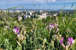 В воскресенье в Саратовской области потеплеет до +27