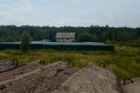В суде признали приютом участок в хуторе Маяк, где содержат почти 150 собак: их должны выселить в течение трех месяцев
