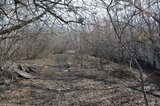 Чиновники за лето планируют построить в Ленинском районе «Новую Кумысную поляну» и сквер в Ласточкино