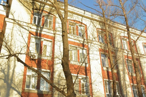 Одинокая мать привлекла внимание Александра Бастрыкина к небезопасным условиям жизни в Саратове